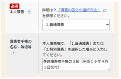 電子申請における本人障害欄の入力例