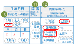 紙の申告書のおける非居住者の記入例