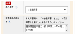 電子申請における本人障害欄の入力例