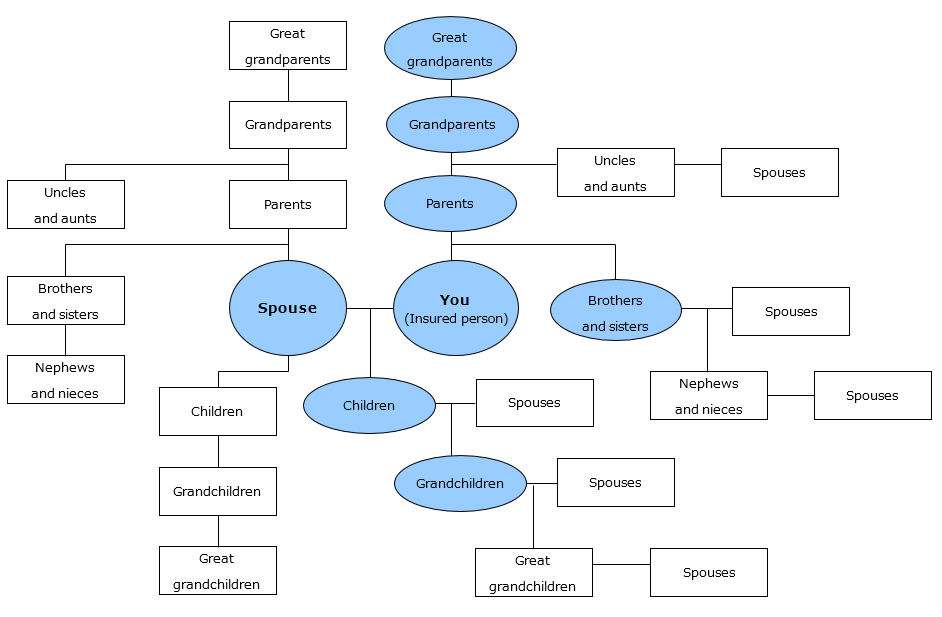 Your First, Second and Third Level of Family Members or Relatives