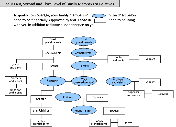 Your First, Second and Third Level of Family Members or Relatives