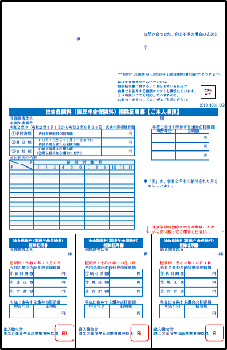 令和2年の社会保険料 国民年金保険料 控除証明書の発行について 日本年金機構