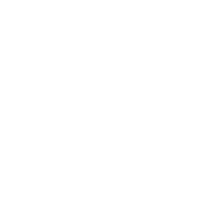 Play Icon