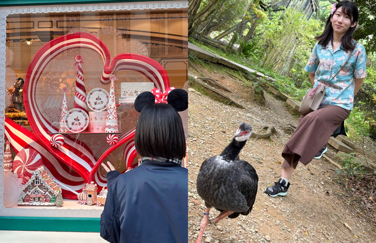 職員を知る イメージ写真