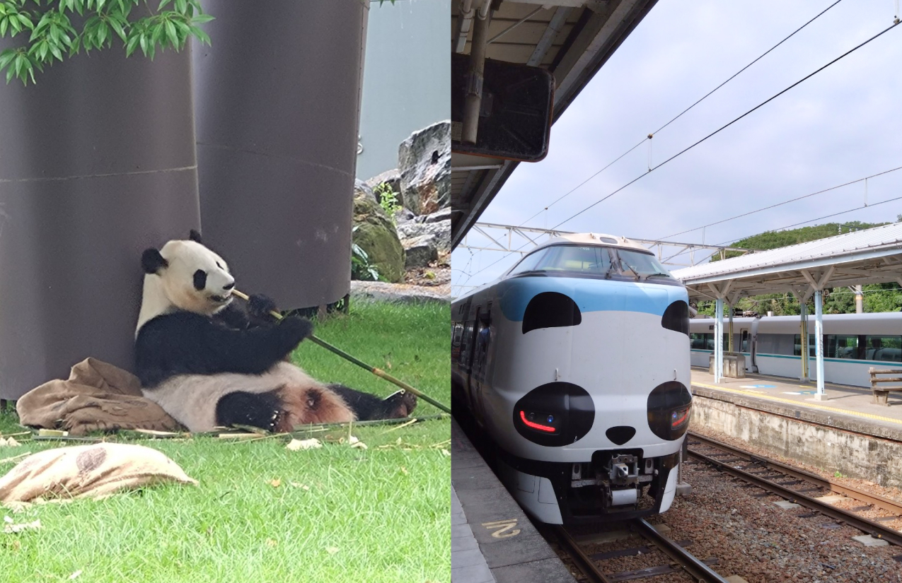 職員を知る イメージ写真