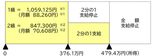 障害基礎年金の所得による支給制限のしくみの図