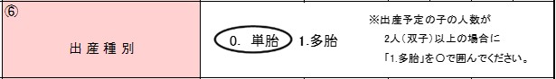 「項番6 出産種別」欄の記入例