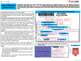 国民年金保険料学生納付特例申請書（ハガキタイプ申請書）記入例（ネパール語/Nepali）