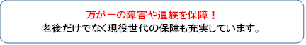 万が一の障害や遺族を保障！老後だけでなく現役世代の保障も充実しています。