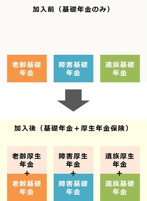 厚生年金保険加入前は基礎年金のみですが、厚生年金保険加入後は、基礎年金と厚生年金保険となり、年金額が増えます